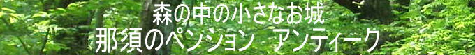 �X�̒��̏����Ȃ���@�ߐ{�̃y���V�����A���e�B�[�N